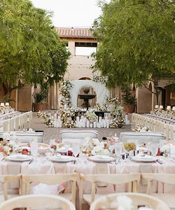 Weddings & Engagements